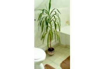 Family pension Vértesszőlős 6